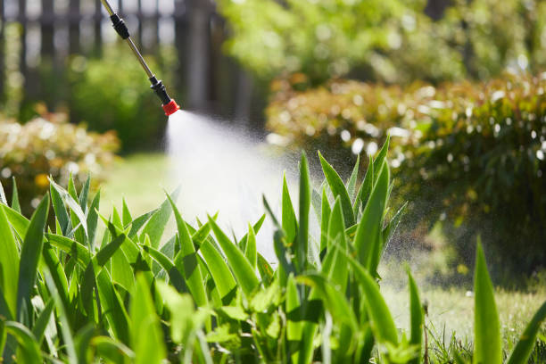 24/7 Emergency Termite Control experts in Weeping Water, NE