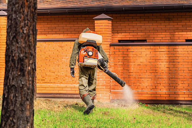Trusted Rodent Control service in Weeping Water, NE - Nex Pest Control
